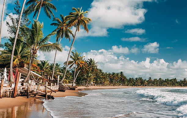 praia de taipu de fóruns em marau, bahia, brasil. - peninsula imagens e fotografias de stock