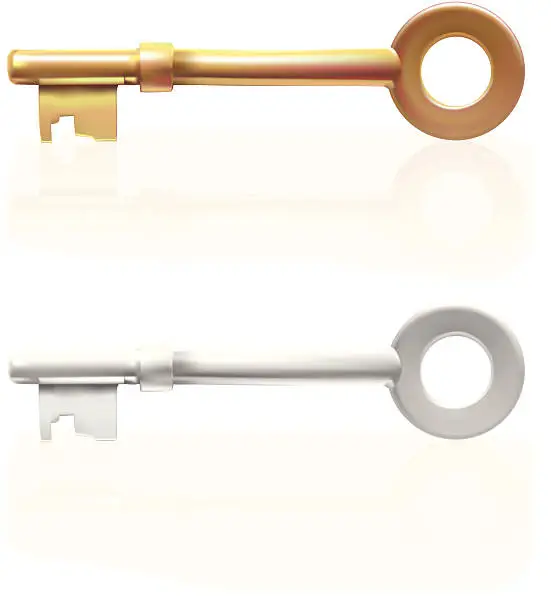 Vector illustration of Gold And Silver Key - Vector
