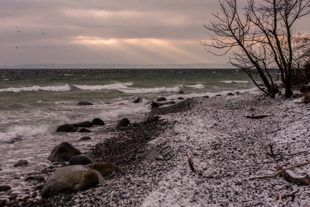 śnieżna plaży na morze północne - rugen island baltic sea germany white cliffs zdjęcia i obrazy z banku zdj�ęć