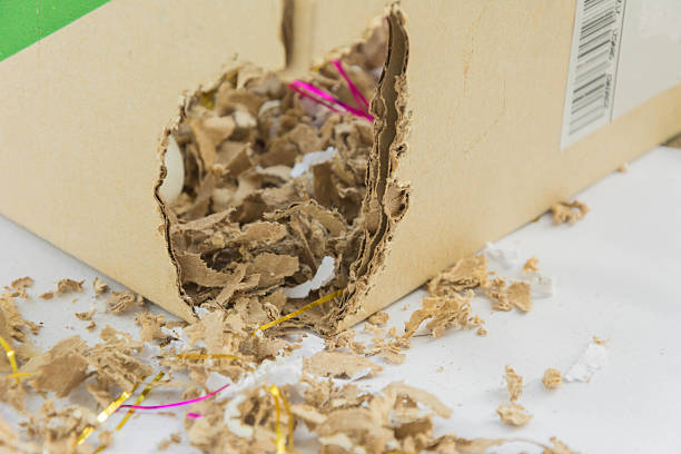 istock gnaw mark of mice 519917514