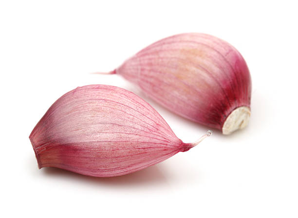 마늘 클러브 - garlic clove isolated white 뉴스 사진 이미지