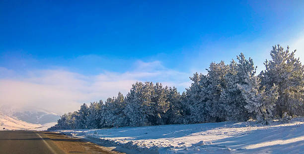 istock Winter morning on the road 519919576