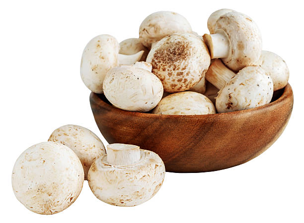 istock Mushrooms in a wooden bowl 519920316