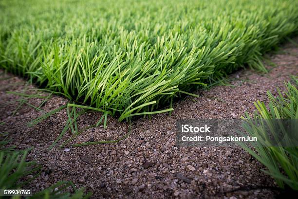 Artificial Green Grass Stock Photo - Download Image Now - Abstract, Artificial, Carpet - Decor