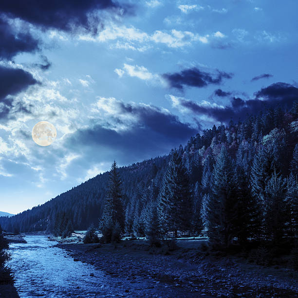istock forest river in autumn mountains at night 519935869