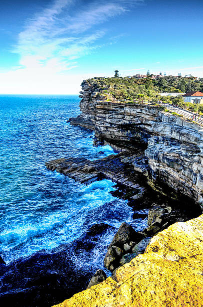 istock Watson Bay Cliff Sydney Australia 519936793