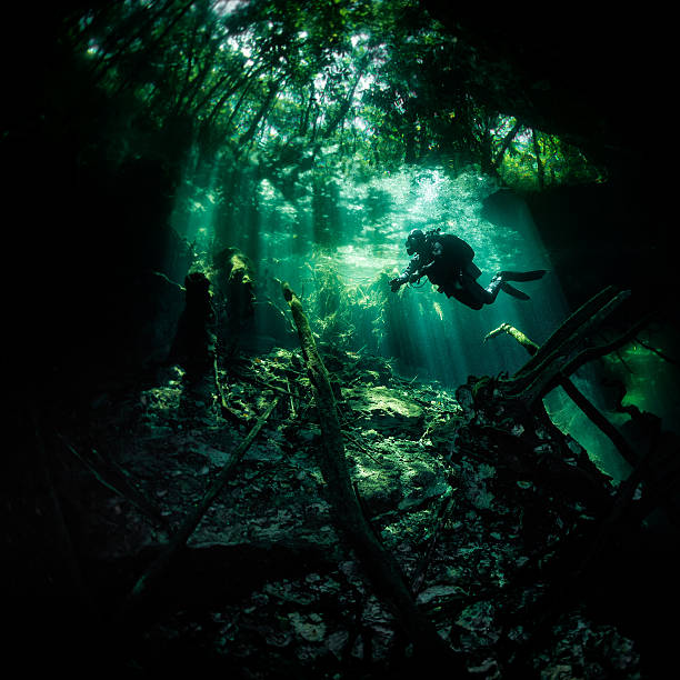 Underwater locations Scuba diver exploring the underwater dark caves in Mexican xenotes. puerto aventuras stock pictures, royalty-free photos & images