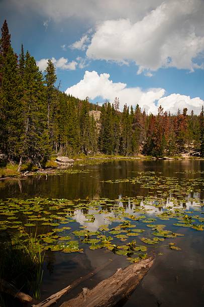 Rocky Mountain National Park The Rocky Mountain National Park outside of Estes Park, Colorado.. lily lake rocky mountains colorado stock pictures, royalty-free photos & images