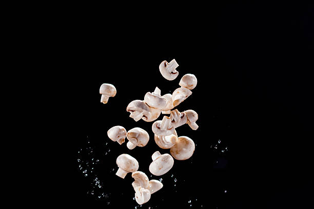 des champignons frais jeté dans l'air - mushroom edible mushroom water splashing photos et images de collection