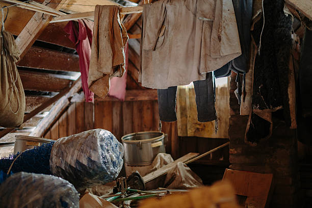 istock Mess in a wooden shed 519953904