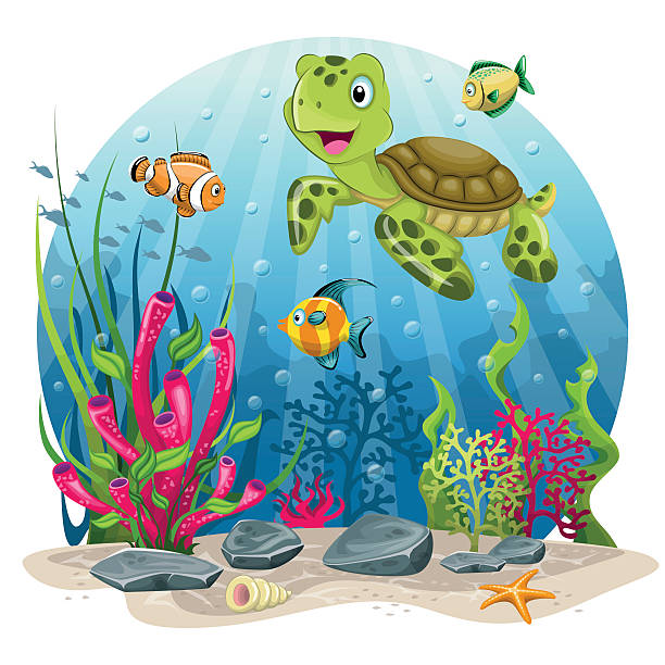 illustrations, cliparts, dessins animés et icônes de tortue et des poissons dans la mer - turtle