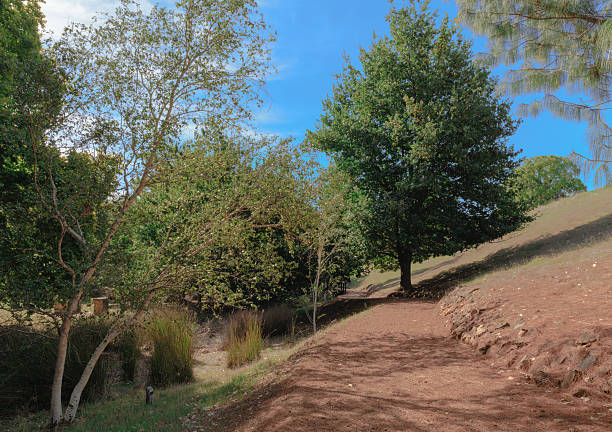 istock Walking Trail in Golden Valley in Australia 519956410