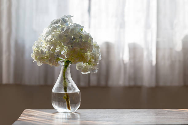 istock White hydrangea flower in glass vase on  the table 519958640
