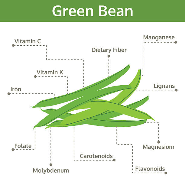 ilustraciones, imágenes clip art, dibujos animados e iconos de stock de judía verde nutrientes de los hechos y beneficios de salud, información gráfico - green bean