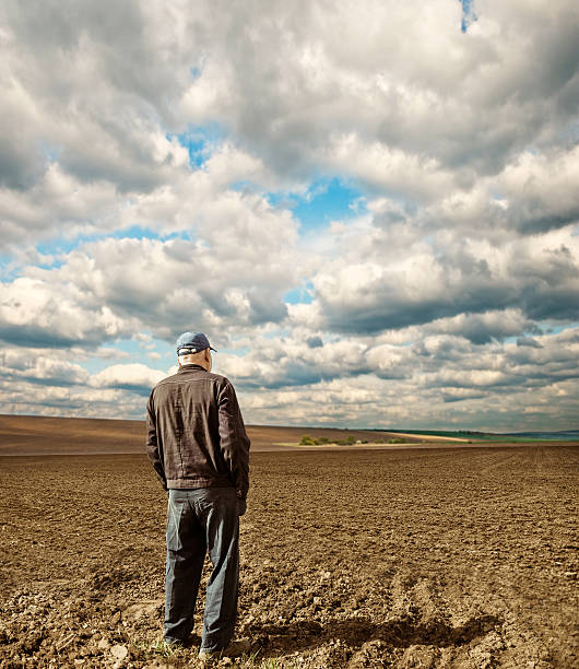 Agriculteur dans le champ de printemps - Photo