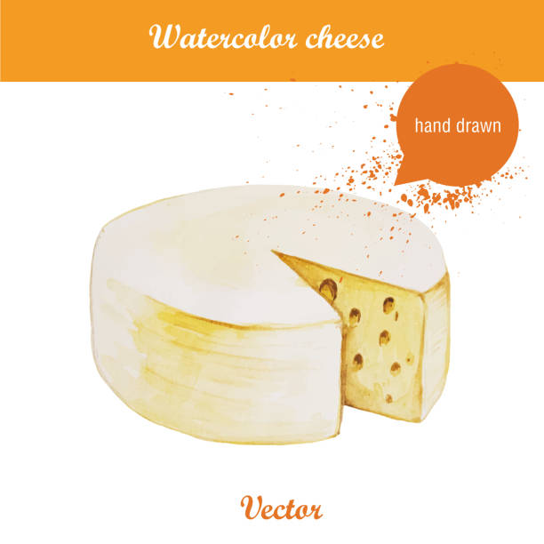 ilustraciones, imágenes clip art, dibujos animados e iconos de stock de acuarela ilustración de queso rueda. - chef italian culture isolated french culture