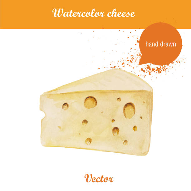 ilustraciones, imágenes clip art, dibujos animados e iconos de stock de acuarela ilustración de queso pieza. - chef italian culture isolated french culture