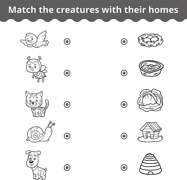 Matching Game For Children Animals And Their Homes Stock Illustration -  Download Image Now - iStock