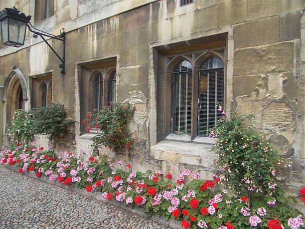 cambridge - detail of architecture