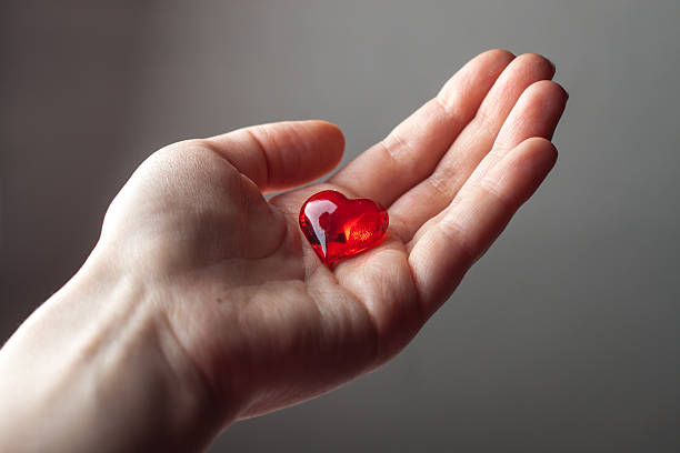 istock Woman hand holding small plastic heart 519964808