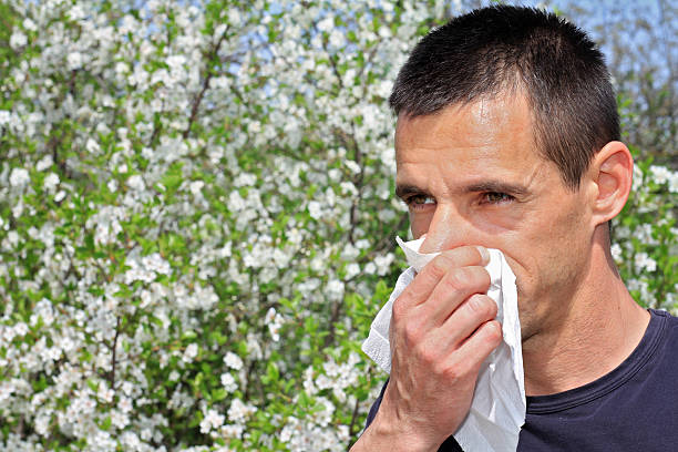istock Pollen allergy, Springtime. Man sneezing in a tissue 519966618