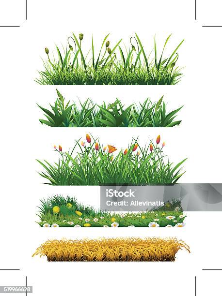 Fresh Grass Stock Illustration - Download Image Now - Grass, Uncultivated, Weeding