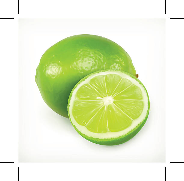 illustrazioni stock, clip art, cartoni animati e icone di tendenza di calce, agrumi - lime ripe fruit citrus fruit