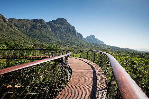 istock Botanical Garden Kirstenbosch 519972707