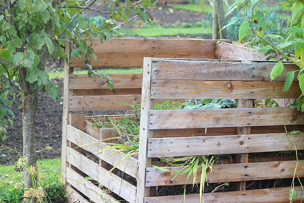 istock Wooden compost heap, compost bin converter, allotment / vegetable garden waste 519972785