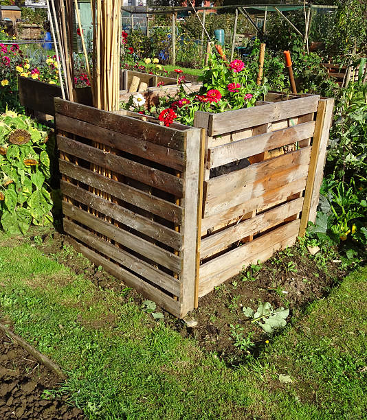 istock Wooden compost heaps, compost bin converters, allotment / vegetable garden waste 519972787
