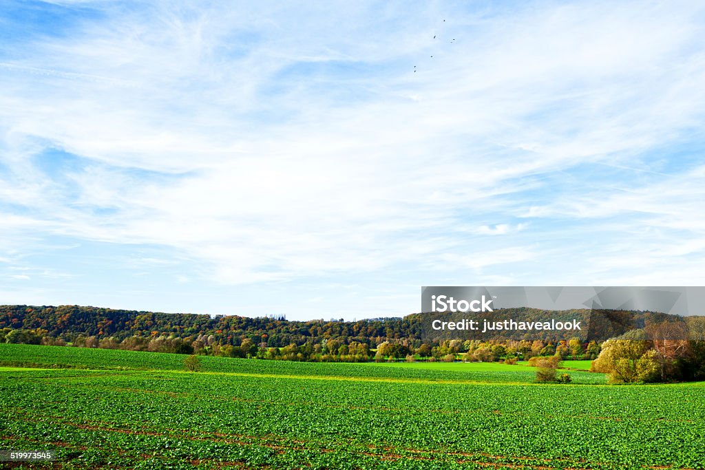 Fields, woods and river Ruhr Fields, woods and river Ruhr in autumn. Outskirts of Mülheim between Menden and Essen Kettwig. River is partially to be seen between trees behind field. Agricultural Field Stock Photo