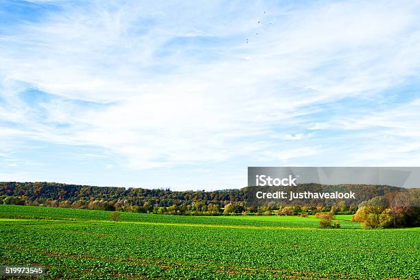 Fields Woods And River Ruhr Stock Photo - Download Image Now - Agricultural Field, Agriculture, Autumn