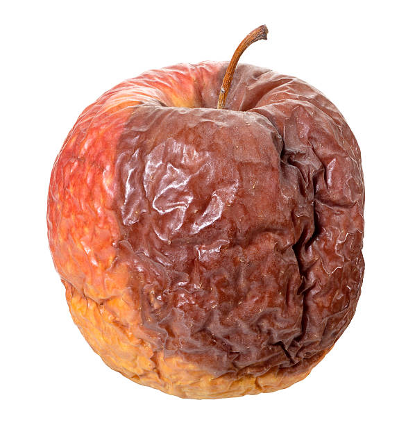 Rotten apple(+clipping path) Rotten apple,isolated on white with clipping path. rotting apple fruit wrinkled stock pictures, royalty-free photos & images