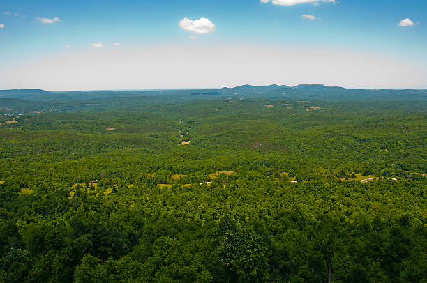 istock Ozark Mountain Overlook Huge Forest in Arkansas 519974147