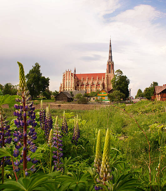 istock Holy Trinity catholic church, Gervyaty, Belarus 519974477