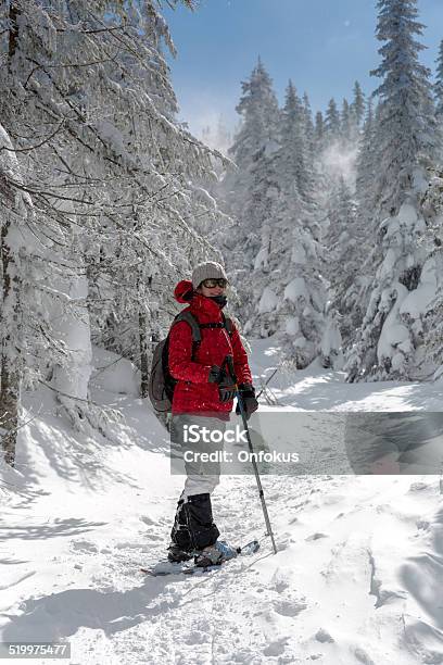 Woman Walking With Snowshoes In Winter Forest Landscape Stock Photo - Download Image Now