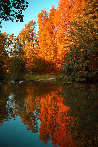 istock autumn in the park. 519976085