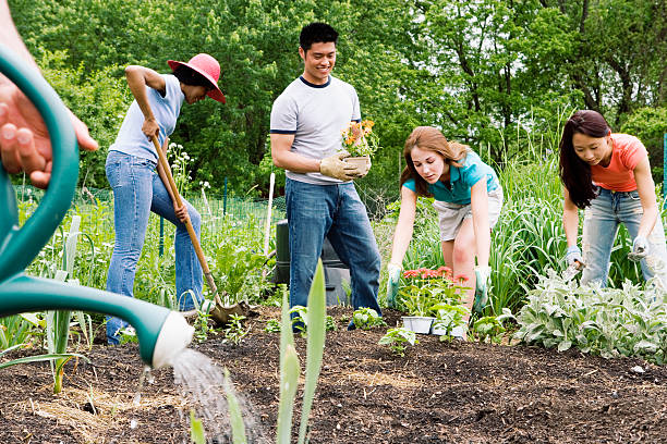 grupo de plantación en jardín de la comunidad - watering place fotografías e imágenes de stock