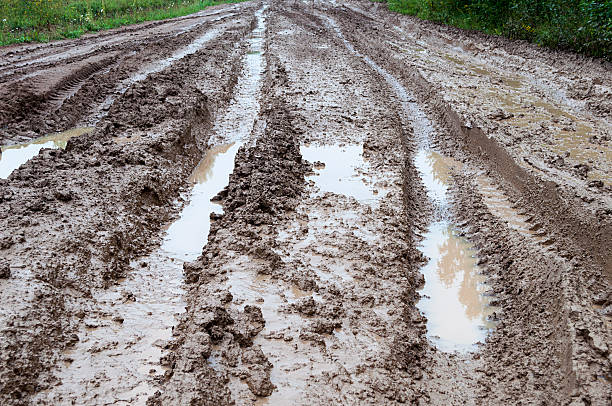 istock Wheel track on dirt road with puddles 519996181