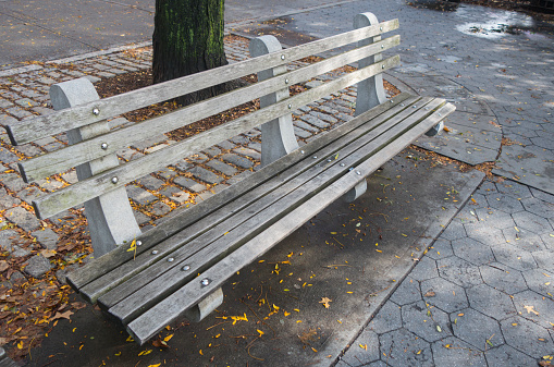 Park bench in Brooklyn after the rain with fallen leaves on cobblestone