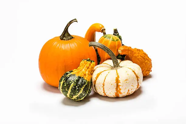 A group of pumpkins and other colorful gourds are assembled on a white, studio background.