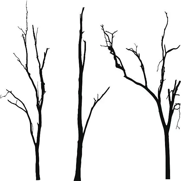 Vector illustration of vector black silhouette of a bare tree