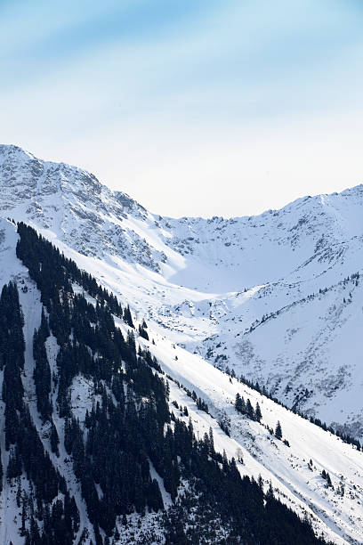 istock mountains at Berwang in the Austrian Alps 519999553