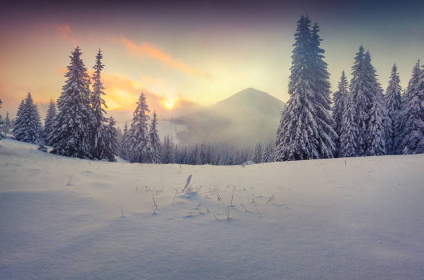 istock Foggy winter sunrise in the mountains. 520000627