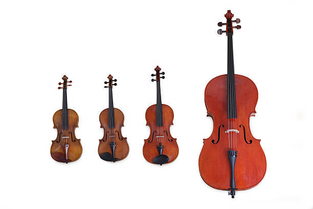 quartetto d'archi - violin family foto e immagini stock