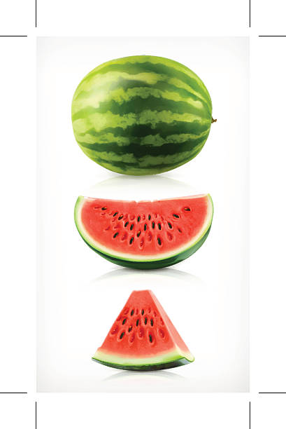 ilustraciones, imágenes clip art, dibujos animados e iconos de stock de sandía, vector de iconos - watermelon