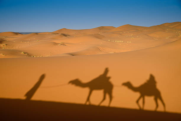 istock Camel shadows on Sahara Desert sand in Morocco. 520004070
