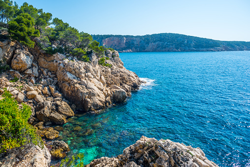 Beautiful sunny coast of Cala Aigua Xelida, Tamariu. Rocky shore, cliffs, blue water, green pine trees. Costa Brava, Begur, Girona, Catalonia, Spain