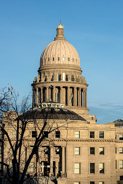 istock Unique view of Idahos state capital agains blue sky 520007906