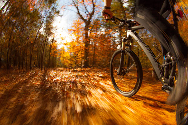 istock Mountain biking along a trail in the bright sun. 520008310